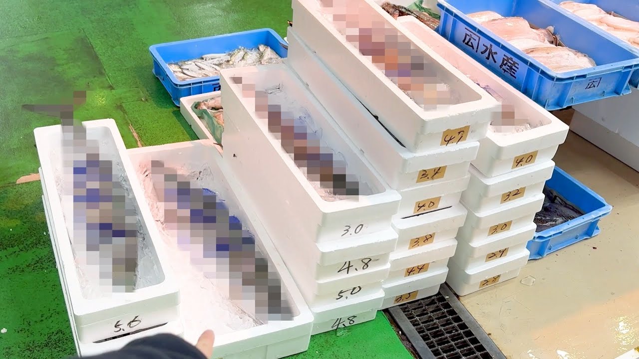 【巨大】ありえない。なんでこの魚がこの値段で？？？