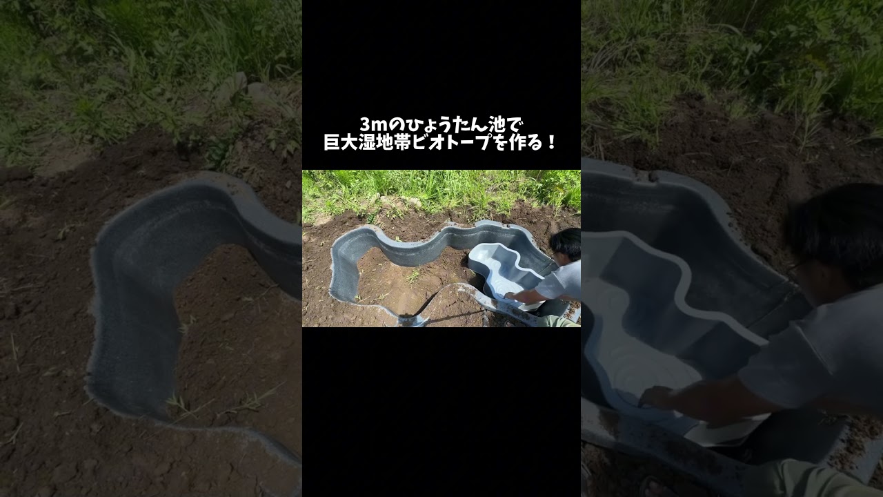 3mの巨大湿地帯ビオトープ作り　#shorts