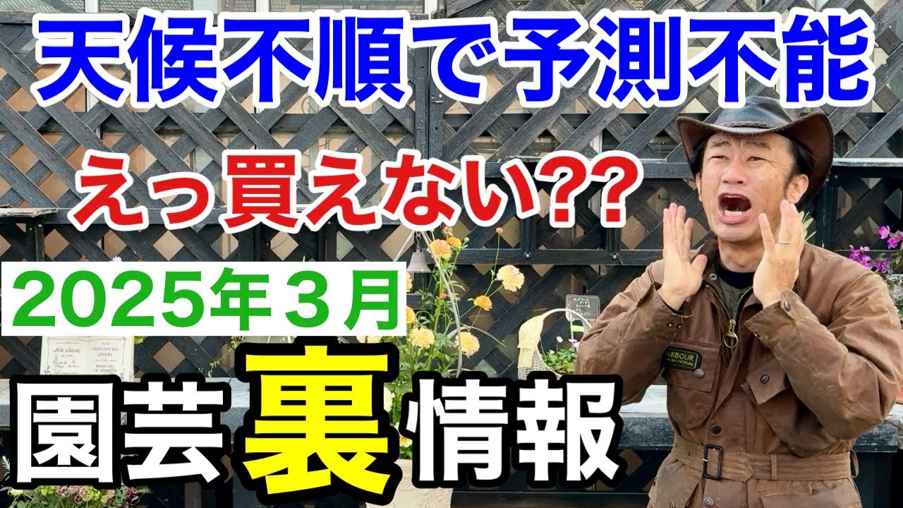 【いつ入荷？？】ズバリ3月これだけは買っておいて下さい！　　　　　　　　　　　【カーメン君】【園芸】【ガーデニング】【初心者】