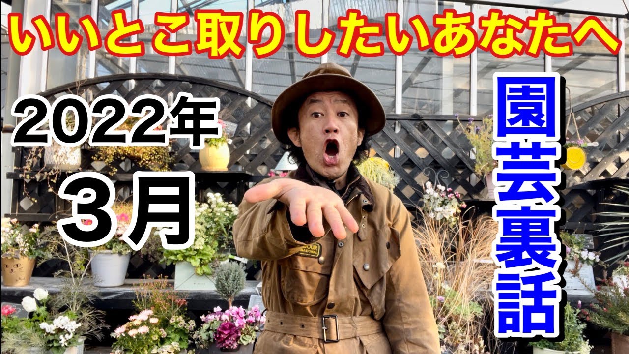【元店長が暴露】2022年3月の園芸裏情報解禁します　　　【カーメン君】【園芸】【ガーデニング】【初心者】