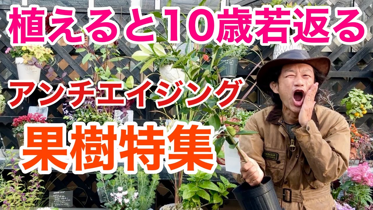【知らないと損】自宅で育てれるアンチエイジング果樹教えます　　　　【カーメン君】【園芸】【ガーデニング】【初心者】