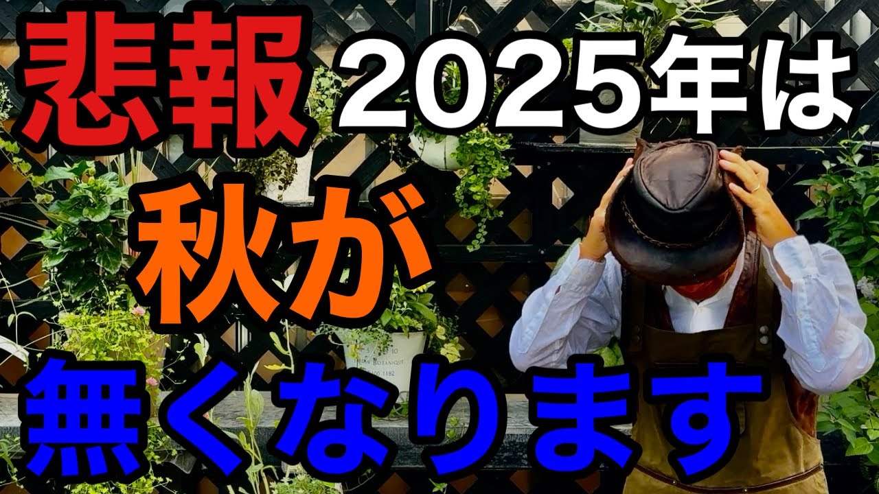 【このままだとヤバい】今年の秋に起こる植物への大きな影響と対策教えます　　　【カーメン君】【園芸】【ガーデニング】【初心者】