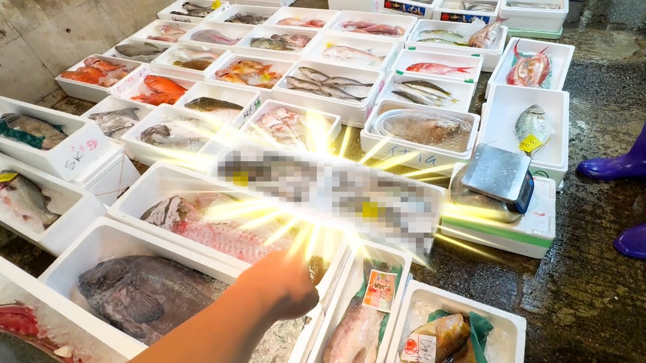 市場ではじめてみる魚を発見！夏の時期におすすめの料理教えます。