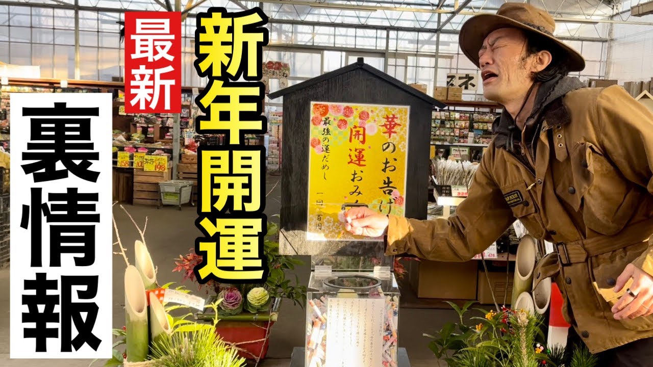 【裏情報】2022年1月の園芸裏情報解禁します　　　【カーメン君】【園芸】【ガーデニング】【初心者】