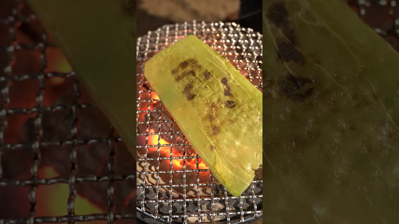 【七輪】サボテンの炭火焼きがうますぎる！？#asmr #bbq #recipe