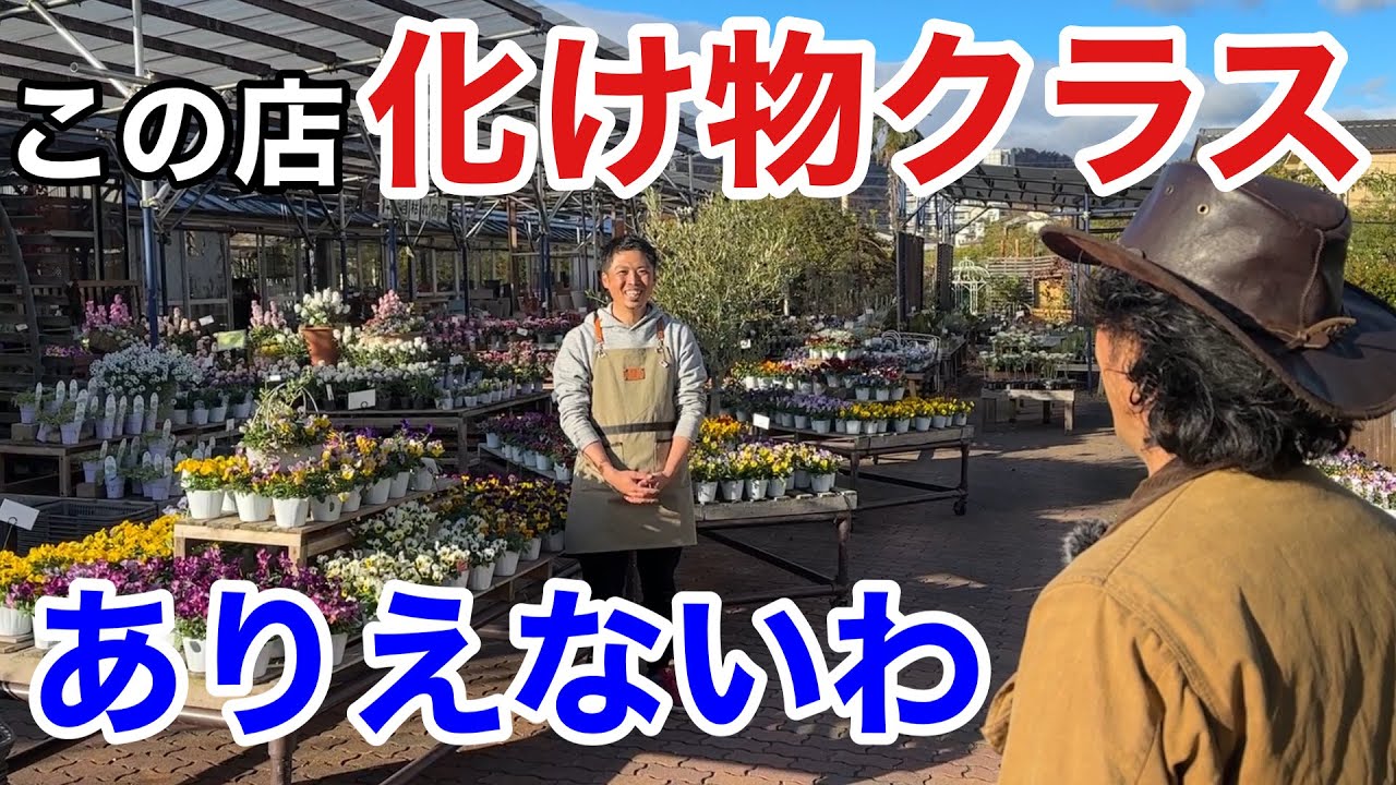 【まつおえんげい】 皆様この店には充分気をつけて下さい　                          【カーメン君】【園芸】【ガーデニング】【バラ】