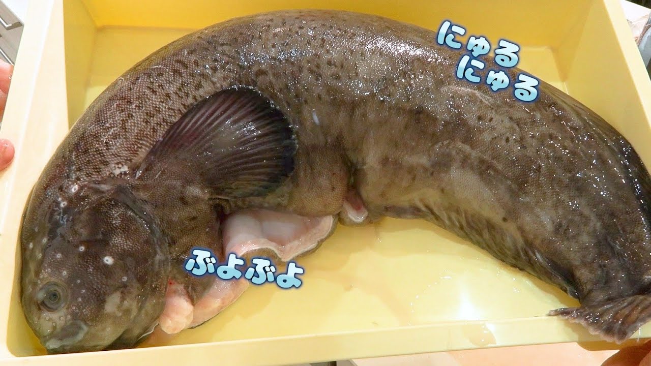 【ぶよぶよ】干したら最強になる魚を見つけました