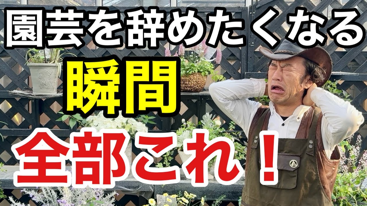 【安心して下さい】園芸初心者が必ず挫折するポイントと予防策教えます　　　　【カーメン君】【アース製薬】【花いとし】【野菜うまし】