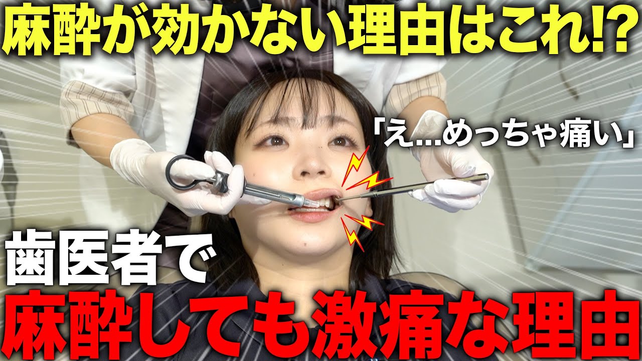 なぜ麻酔が効かない？歯医者で“麻酔したのに痛い”本当の原因【歯科医解説】
