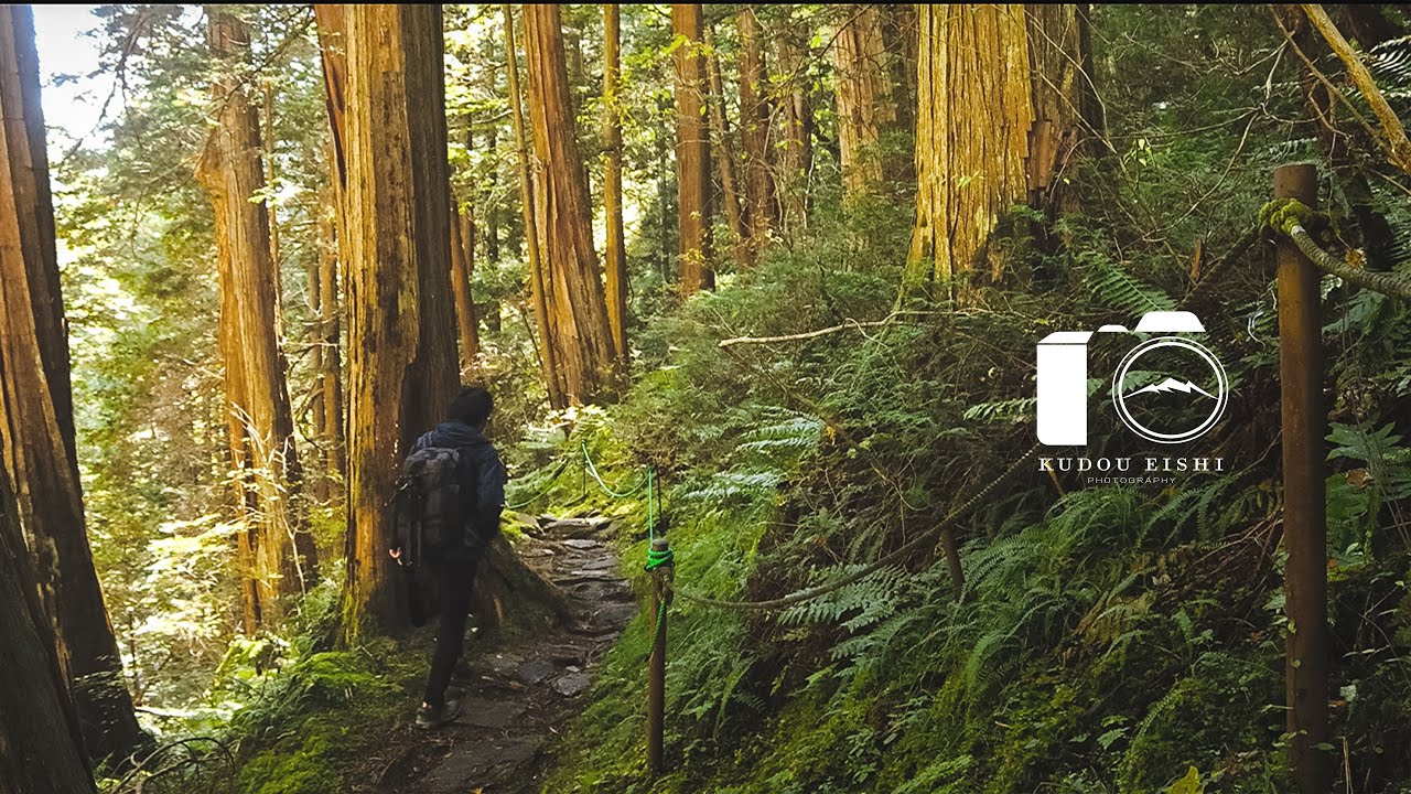 【風景写真】御嶽山修行の地 - 自然豊かな滝の景色 | Waterfall Photography - Japan | 4K