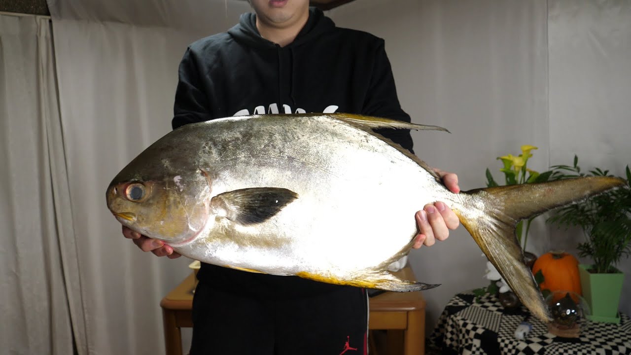 謎がおおすぎる魚【マルコバン】さばいて食ってみた。