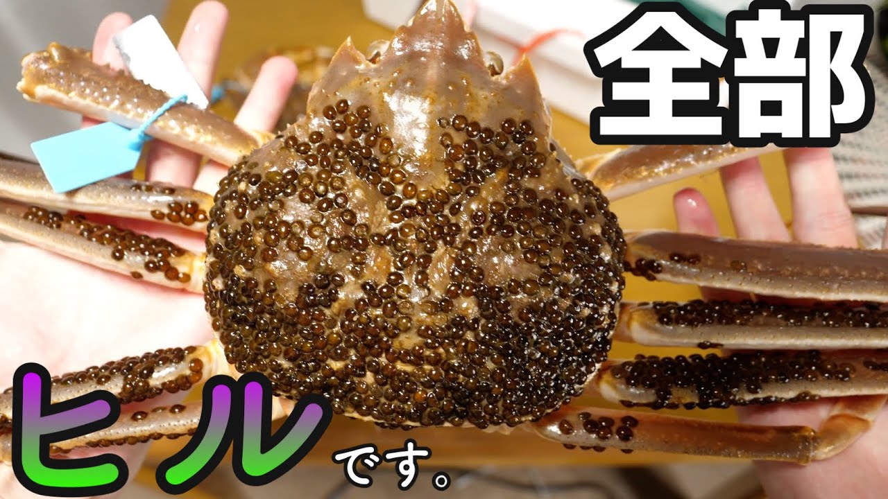 【集合体】きまぐれ史上最強のカニがきた。