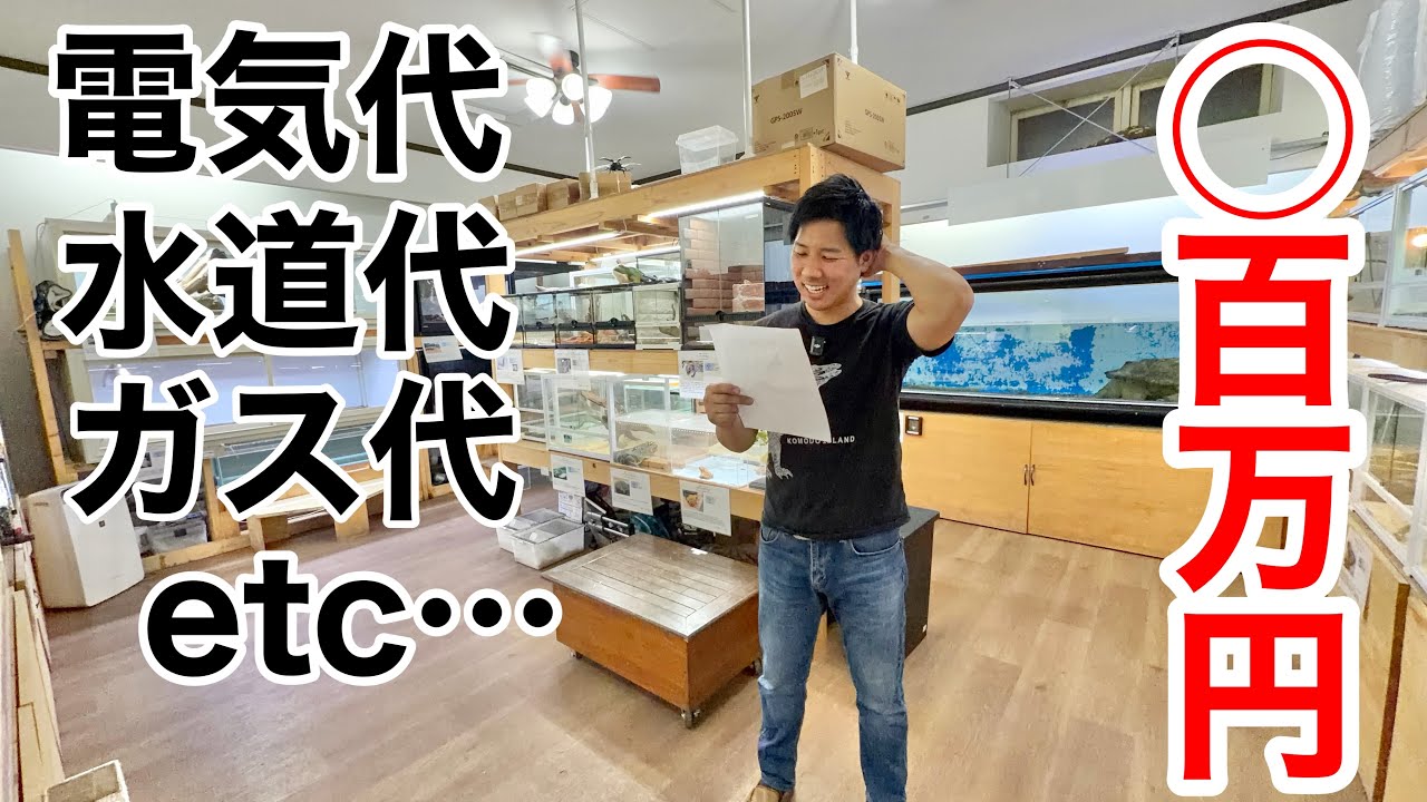 100種類以上の生き物を飼育する爬虫類館の維持費を集計したらヤバ過ぎた・・・