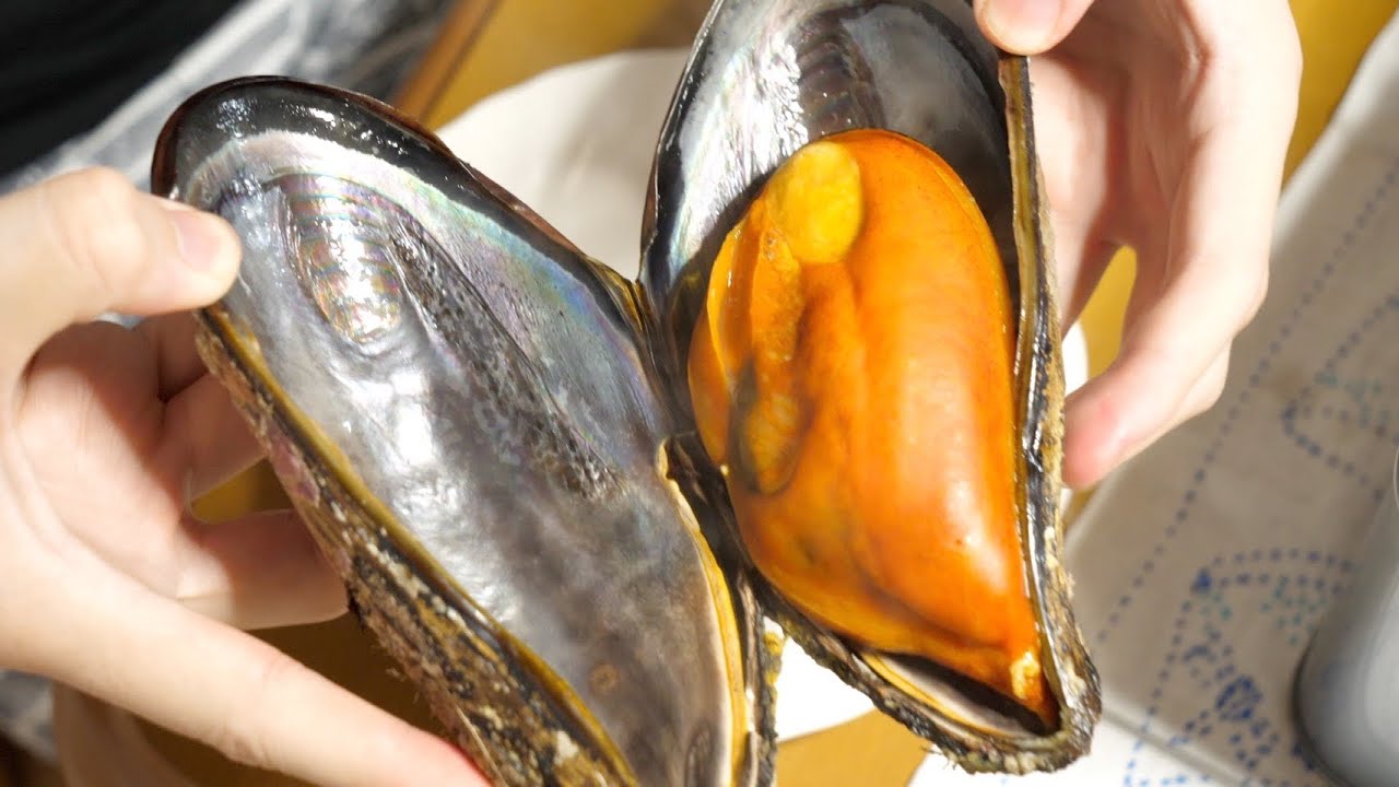 突然変異？市場でたまたま見つけた、巨大化しすぎた『ムール貝』のお味がすごかった・・・