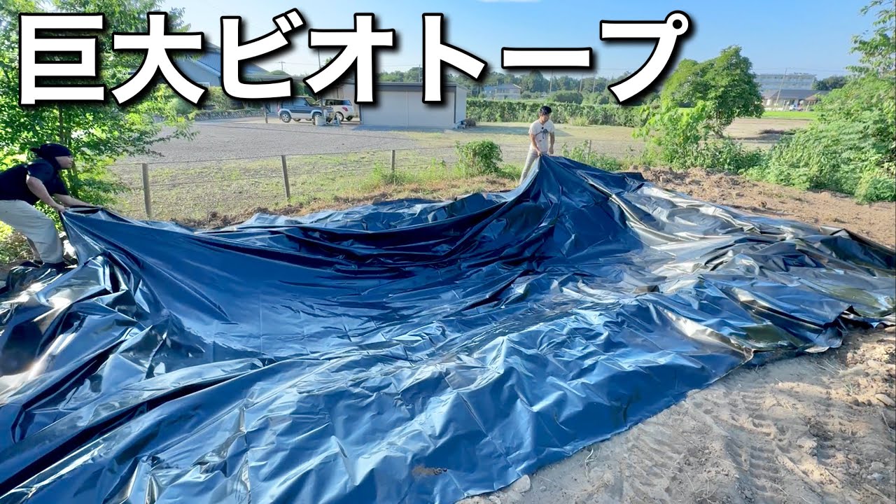 10mのビニールシートを使って巨大ビオトープを作る！
