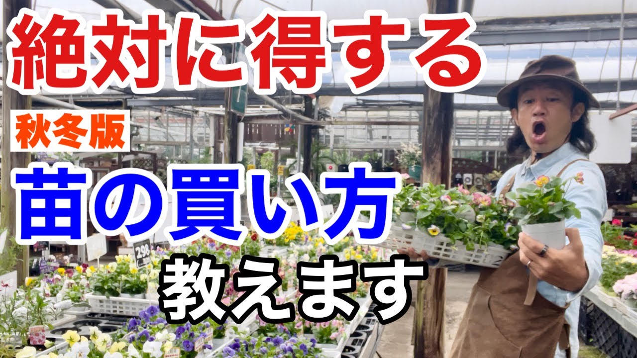 【元店長が明かす】必ず得する苗の選び方教えます　【園芸超人カーメン君】