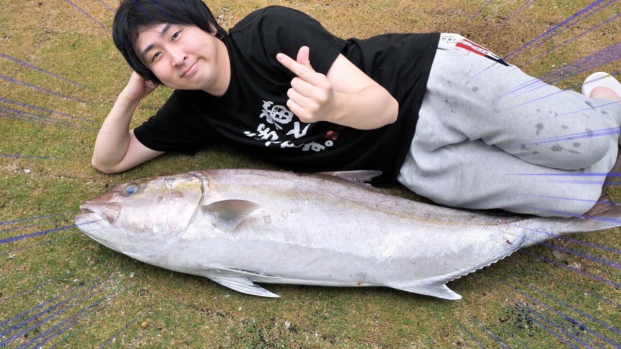 【30キロ】カンパチってこんなにデカくなるの？【家でやる事じゃねぇ】