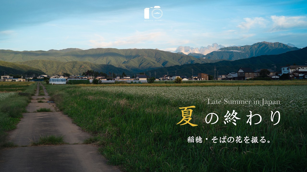 【4K絶景】晩夏のノスタルジー。朝露と夕焼けが彩る田園風景｜信州