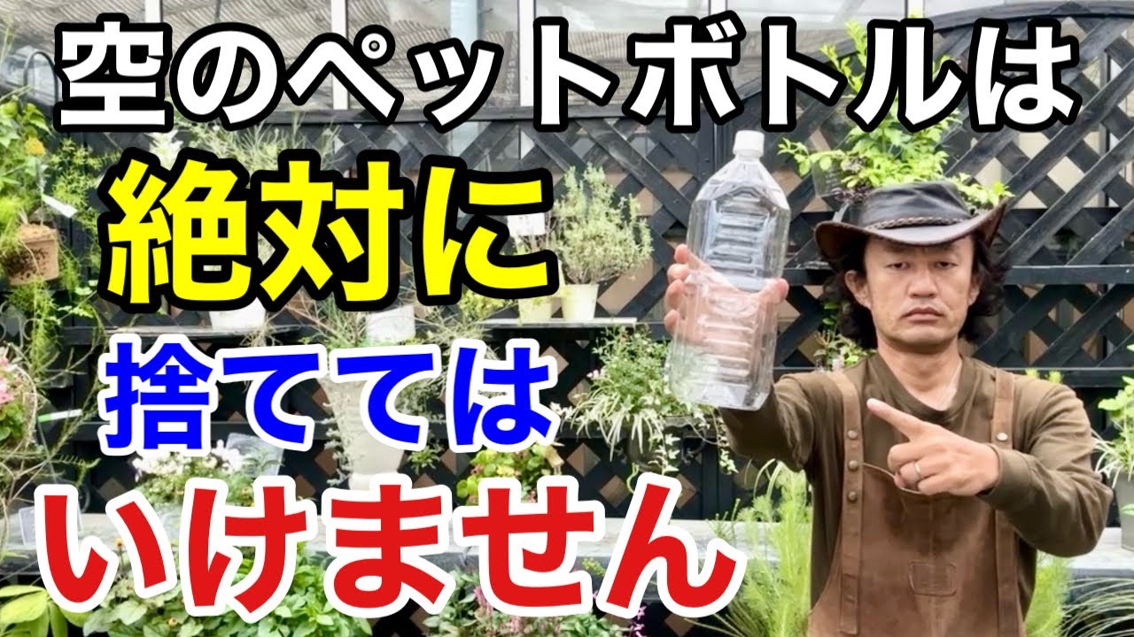 【材料費0円】 知らないと損するペットボトルの超活用法                         【カーメン君】【園芸】【ガーデニング】【初心者】