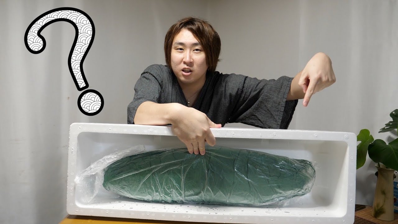 魚好きの数％しか知らない『スチールヘッド』っていう魚　皆さん知ってますか？