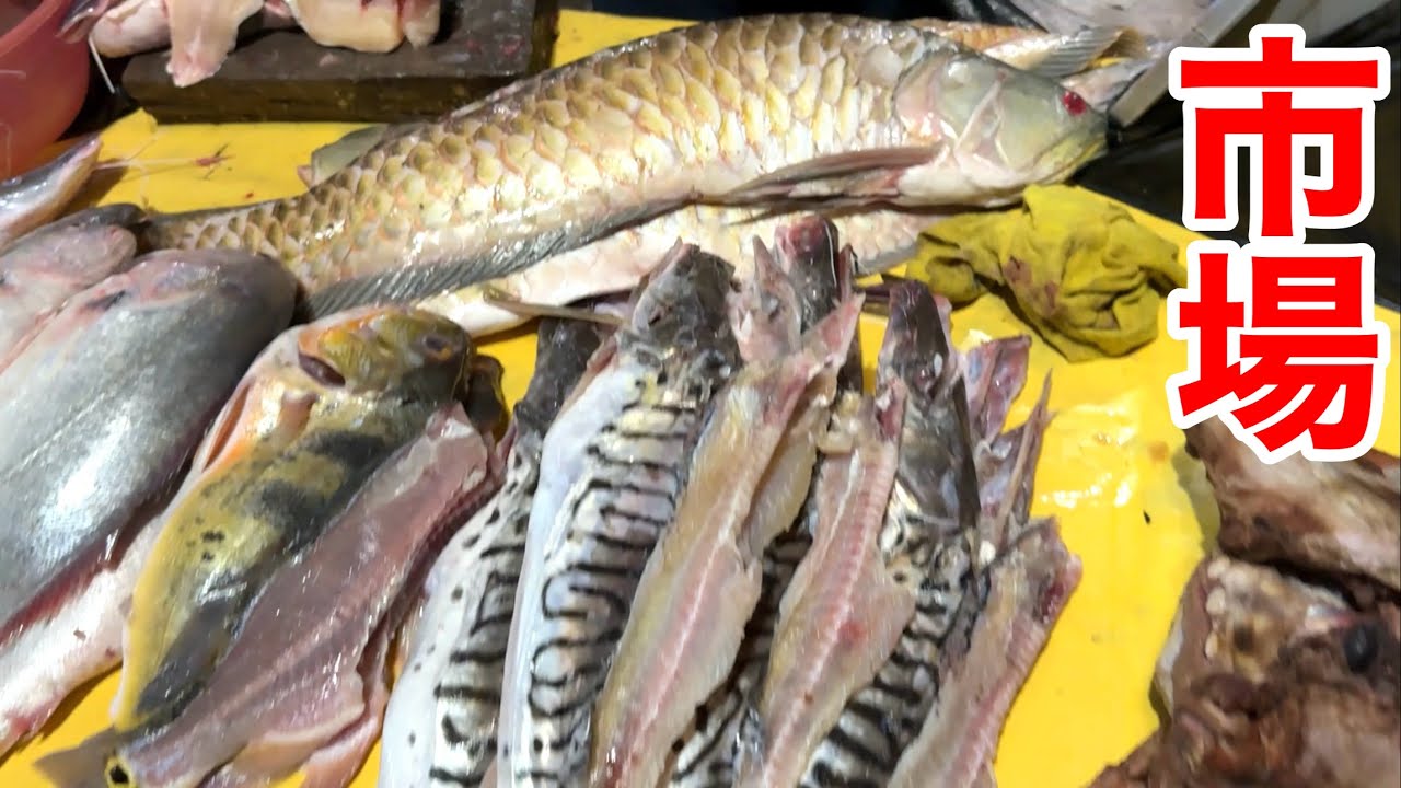 ピラニア、アロワナ、ピラルク！怪魚だらけのアマゾンの市場がヤバ過ぎる！