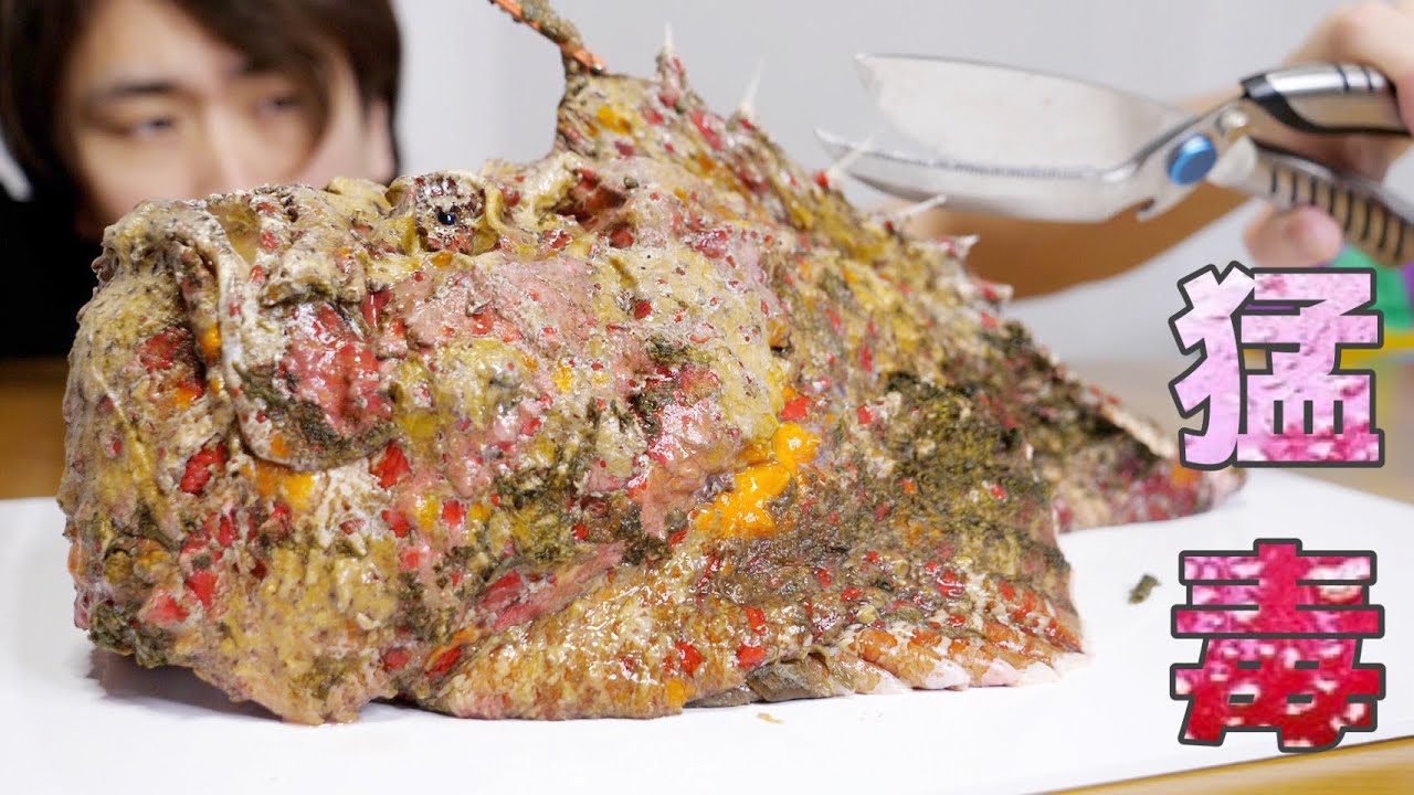 ハブの30倍の毒を持つ魚。『鬼ダルマオコゼ』の毒針を刺激したら、毒液を大噴射！パニック。