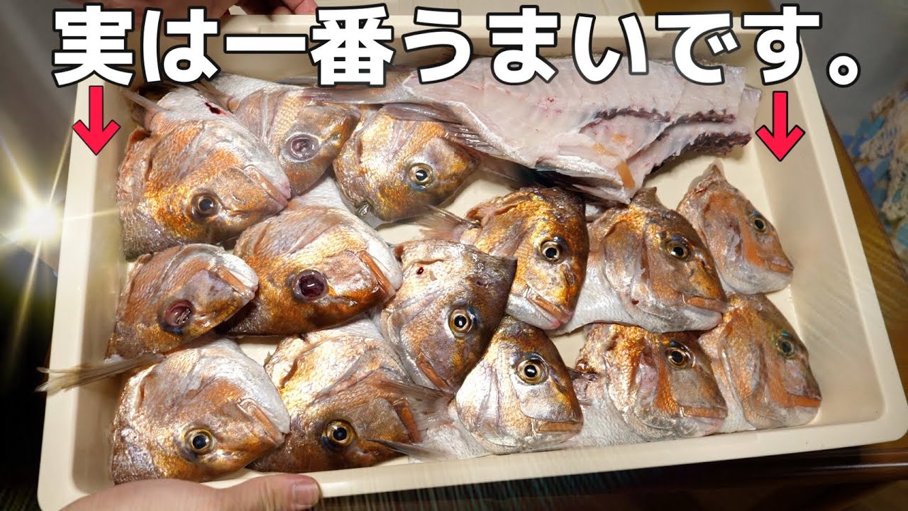 【激安食材】意外と知られていない事実。マダイの一番美味しい部位は『頭の○○』なんです！
