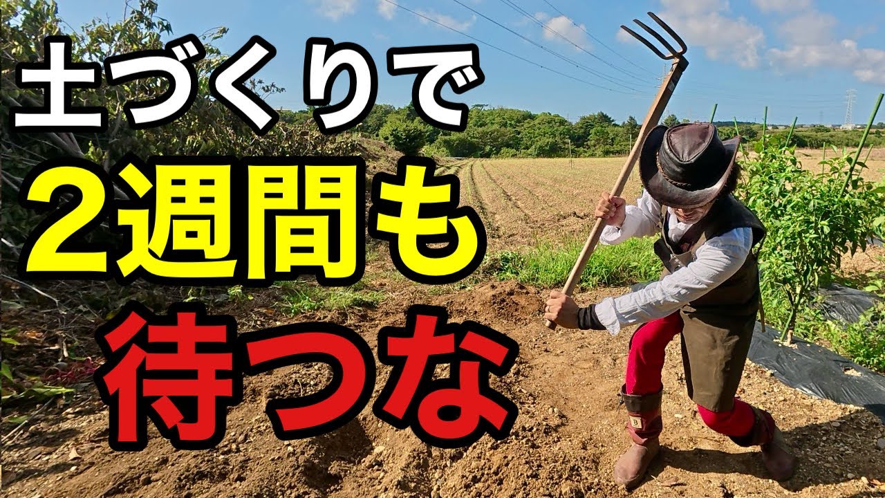 【多忙な方限定】このやり方なら今すぐ苗が植えれます　　　【カーメン君】【園芸】【ガーデニング】【初心者】