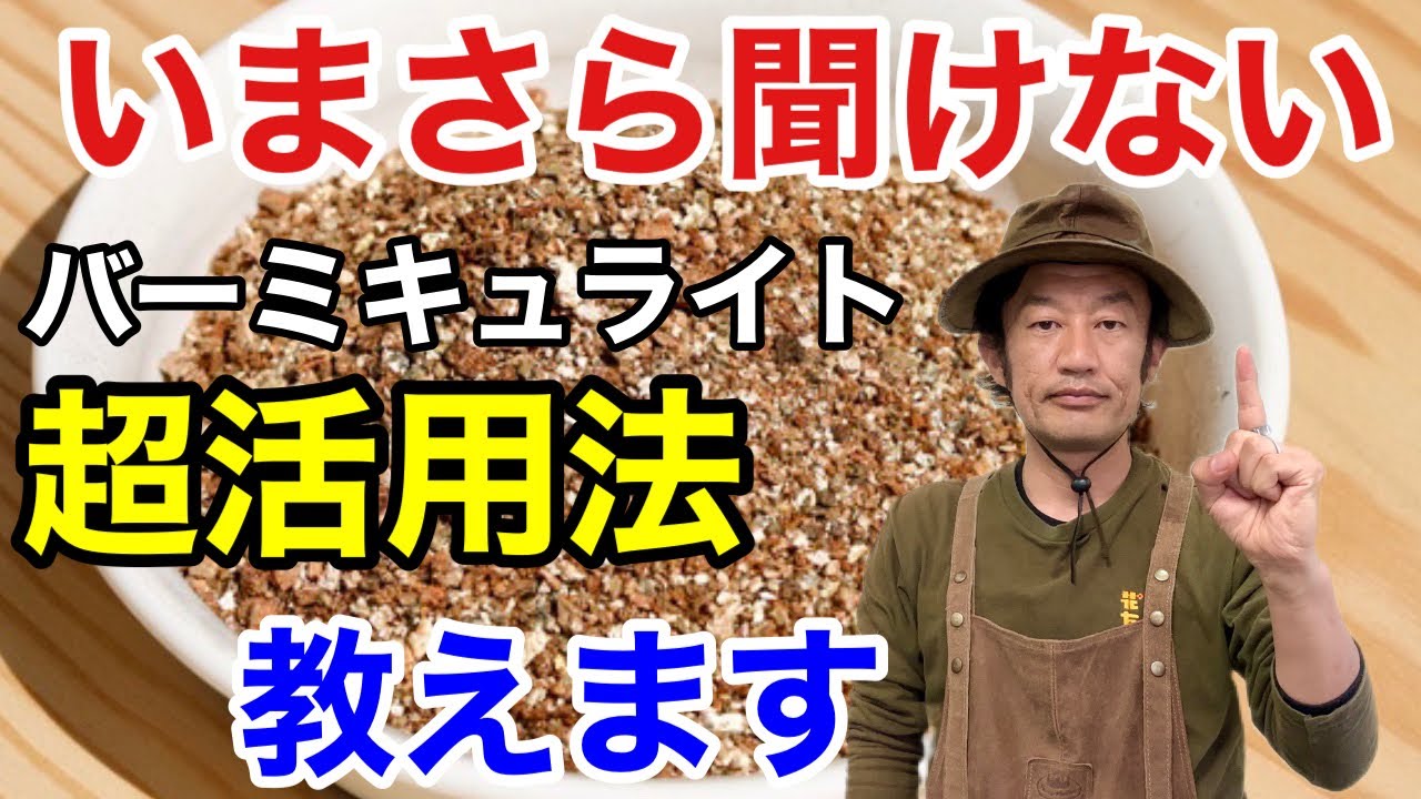 【百聞は一見にしかず】バーミキュライトの本当の使い方教えます　　　　　　【カーメン君】【園芸】【ガーデニング】【初心者】