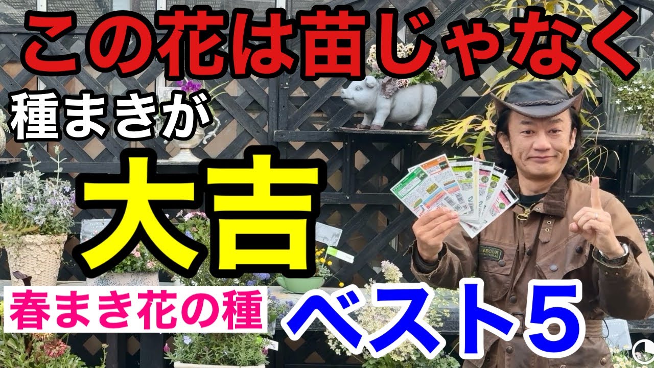 小学生でも育てられる満足度MAXの花の種ベスト5       【園芸】【ガーデニング】【初心者】