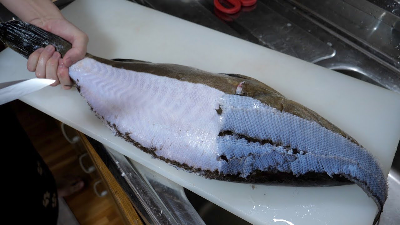 今更きけない『すきびき』のやり方。本日は素潜りで突いてきて貰った高級魚クエ！