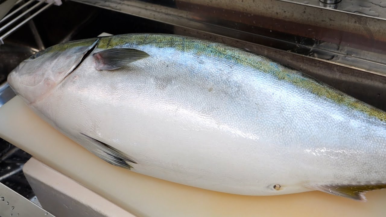 【衝撃】まるまる太ったブリの胃袋から出てきた物が凄かった。