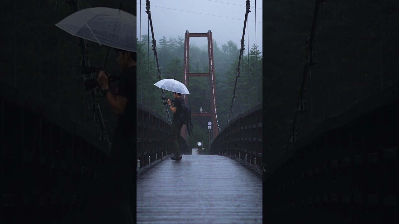 雨の森、新緑の光前寺 #shorts