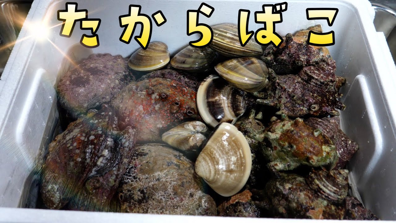 タダで貰った箱からとんでもない海鮮が飛び出してきたwwwいいの！？これ！！