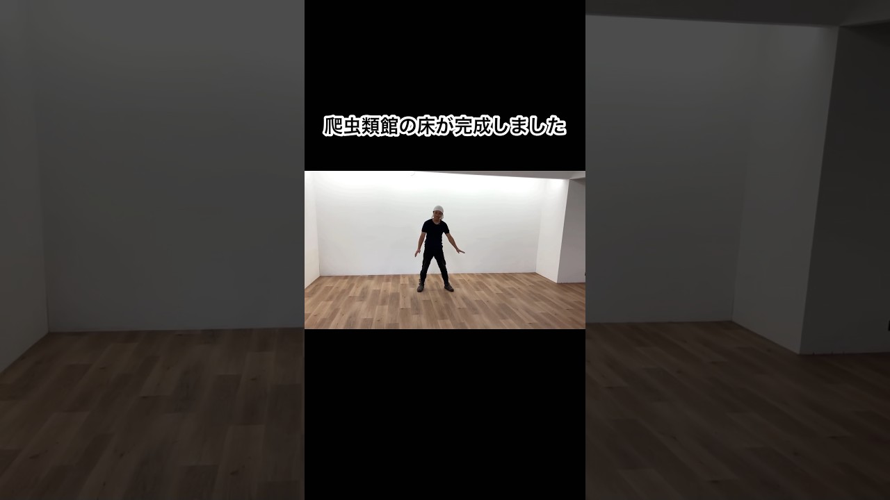 爬虫類館の床が完成しました　#shorts