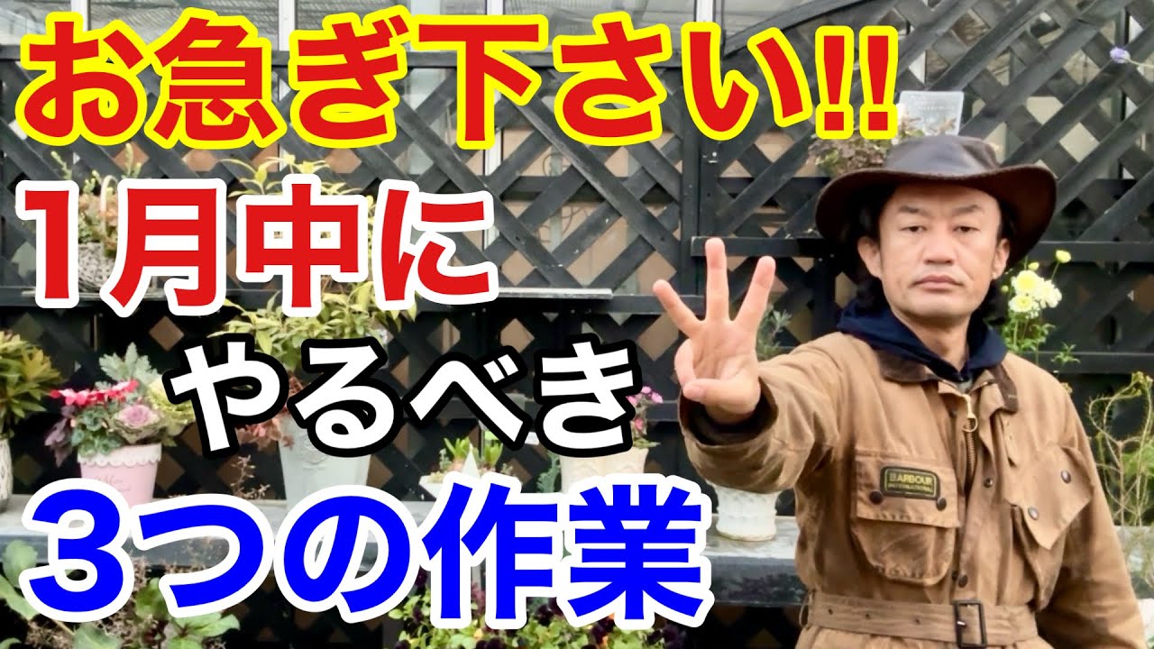 【暖冬がやばい】春に間に合わなくなる可能性があります　【カーメン君】【園芸】【ガーデニング】【1月の作業】