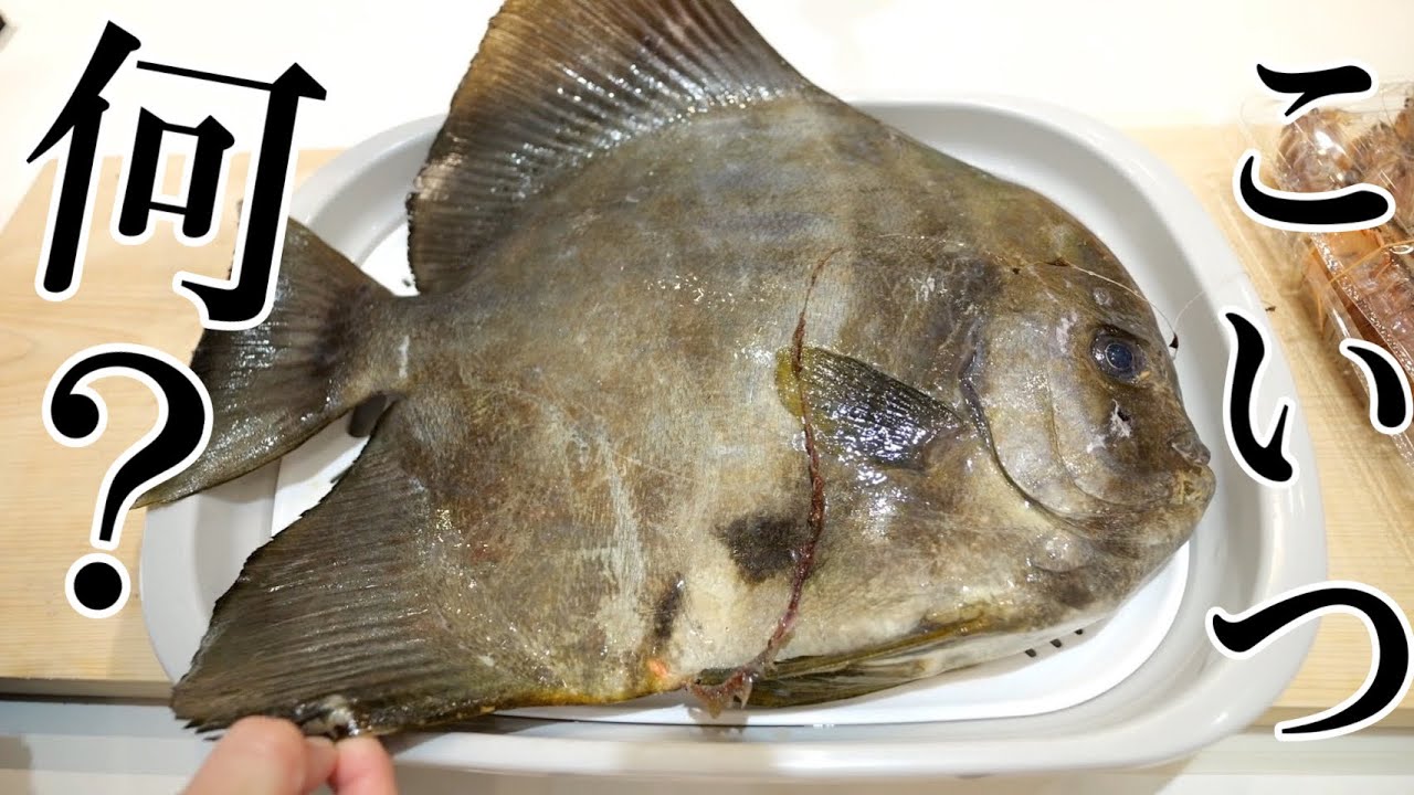市場の片隅にへんな魚売ってたから買って真剣に料理してみた。