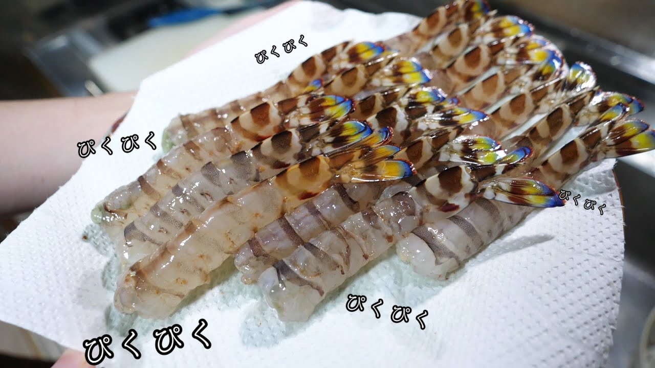 【マンガ飯】生きてる車海老で『夢のようなエビフライ』作ってみた！