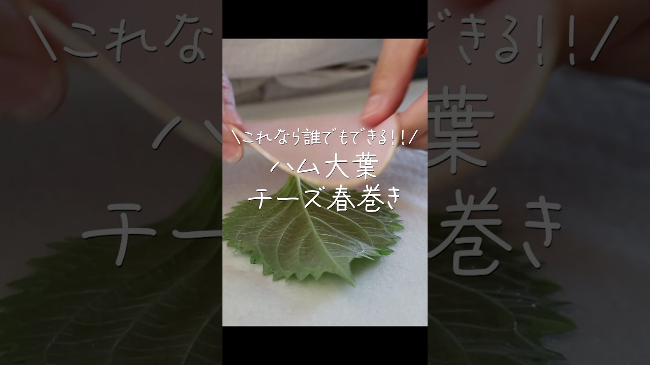 【旦那がほれたおかず】１番簡単な春巻きの作り方！ハムチーズ春巻き　＃Shorts #簡単レシピ #簡単おかず