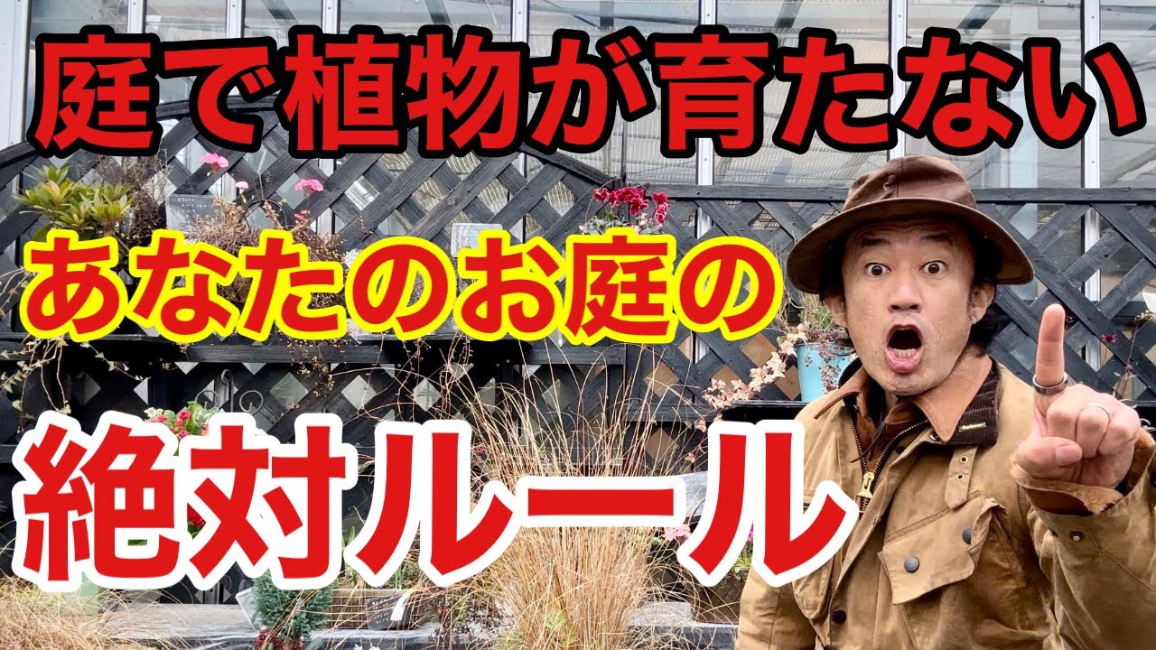 【原因はこれです】園芸初心者でもできるお庭テクニック教えます　　　　　　    【カーメン君】【ガーデニング】