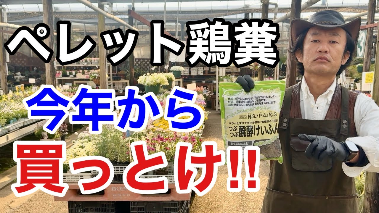 【目からウロコ】鶏糞のとんでもない活用法教えます　　【カーメン君】【園芸】【ガーデニング】【初心者】