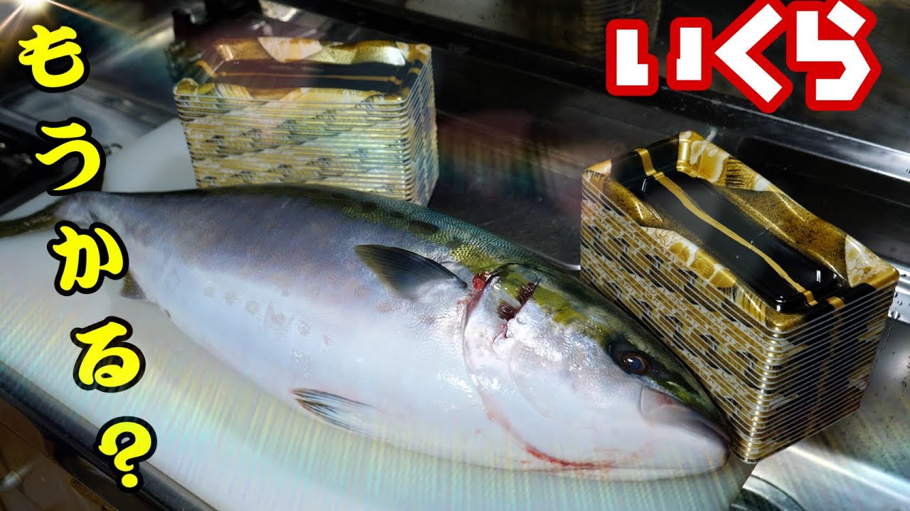1匹5000円の寒ブリをスーパーの刺身のパックに乗せたら、何パックできるの？結果が驚きw