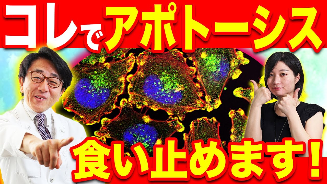 【医師解説】全身の細胞を守って長生きするためにできることはコレです！