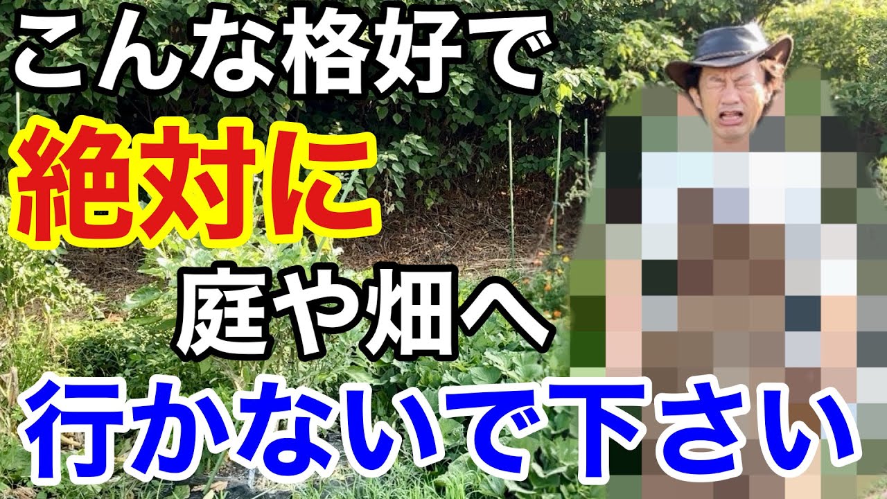 【熱中症対策】あなたのその格好かなり危険かもしれません　　　　　　　【カーメン君】【園芸】【ガーデニング】