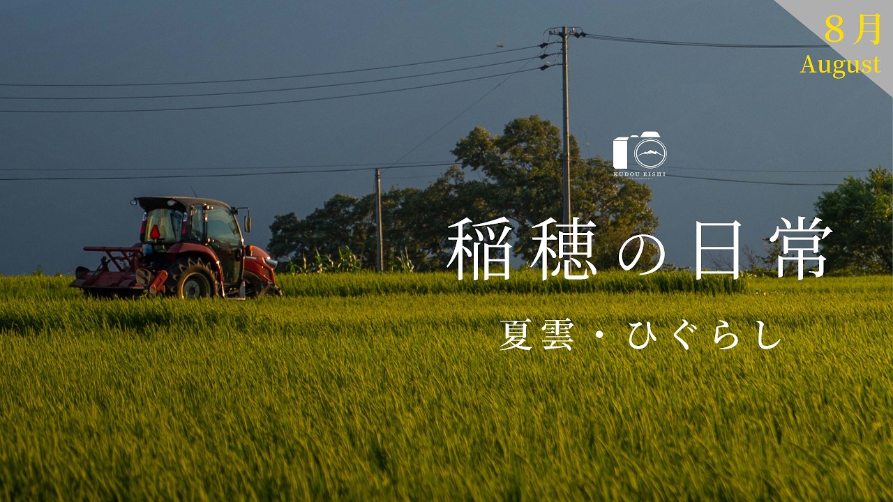 【風景写真】夏真っ盛りの田舎の風景。田園地帯のノスタルジックな１日の景色