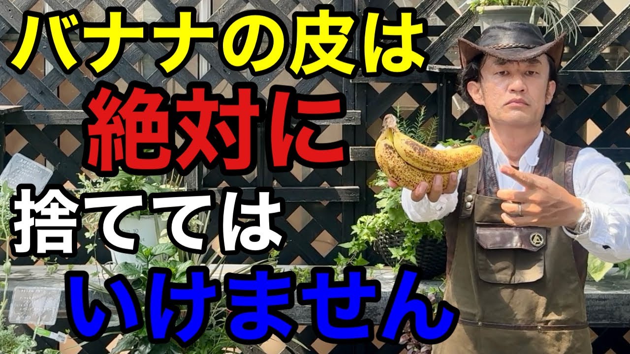 【目からウロコ】バナナの皮のとんでもない活用法教えます　　【カーメン君】【園芸】【土づくり】【初心者】