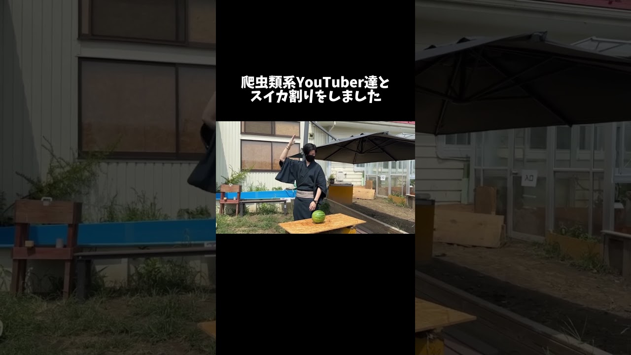 爬虫類系YouTuber達とスイカ割り　#shorts