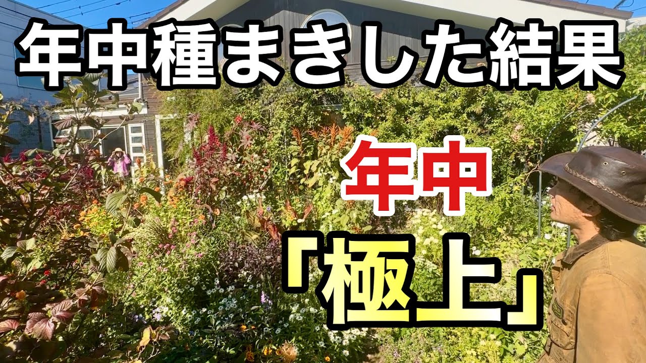 【なるほどがいっぱい】 ほとんど種から作るお庭が素敵過ぎました          【カーメン君】【個人庭】【小関さん】【庭づくり】