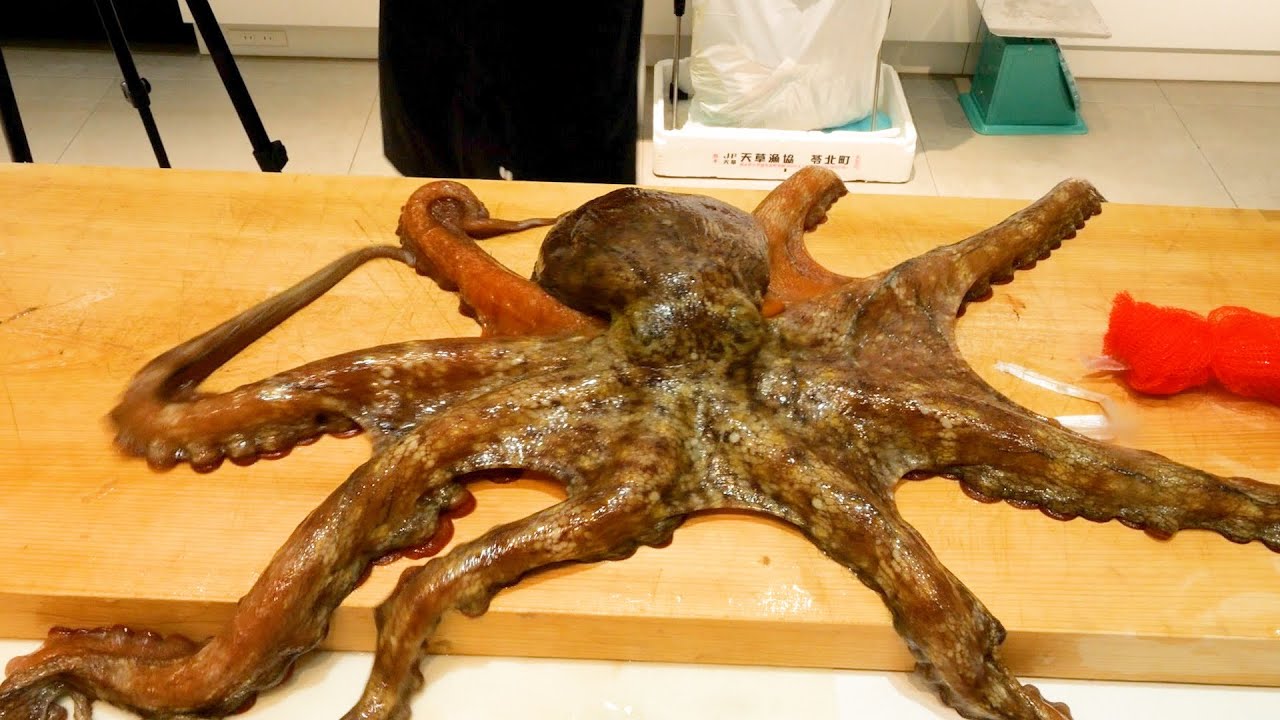 タコがぁああああああ！！