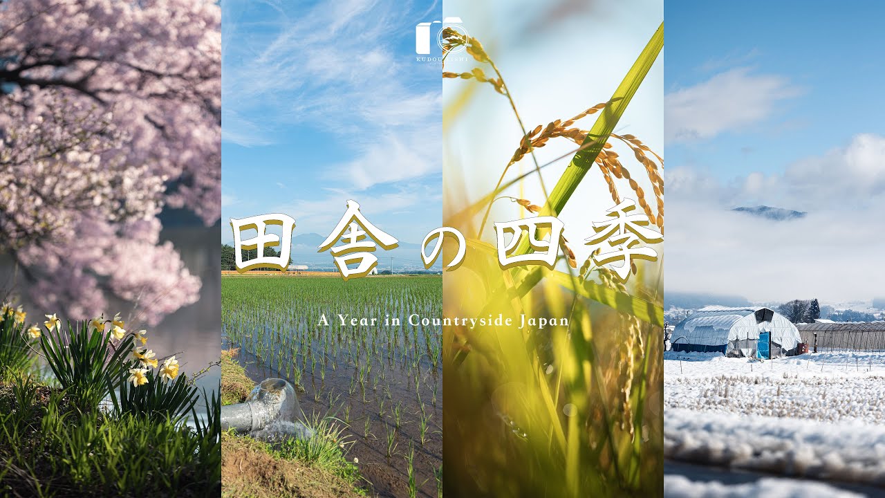 【総集編】田舎の四季の風景記録｜春夏秋冬｜2025